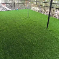 فروش ویژه تمامی محصولات چمنی|خدمات باغبانی و درختکاری|چهاردانگه (تهران), |دیوار