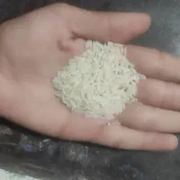برنج هاشمی دوالکه اصل استانه 280