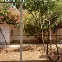 اجاره تخت خوابگاه دخترانه|اجارهٔ کوتاهمدت آپارتمان و سوئیت|شیراز, خلیلی|دیوار