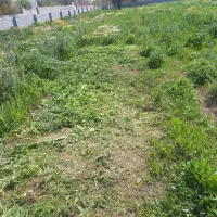 چمن‌زن باغ و ویلا