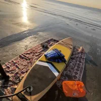 پدل برد بادی