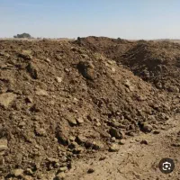 چندبار کود حیوانی مال گوسفند