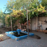 خونه باغ یحیی آباد|فروش خانه و ویلا|کاشان, مزرعه نو|دیوار