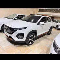 x33 cross