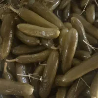 خیارشور تازه وبه قیمت مناسب سوپر نول ممتاز ویژه|خوردنی و آشامیدنی|شیروان (خراسان), |دیوار