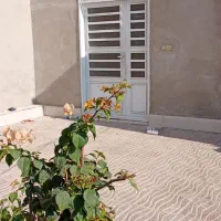 اجاره خانه به صورت مشترک|اجارهٔ خانه و ویلا|جیرفت, |دیوار