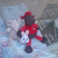 مقداری وسایل اضافی