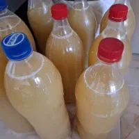 رب انا آبغوره سیرسیاه اب انار|خوردنی و آشامیدنی|شیراز, شهرک ترکان|دیوار