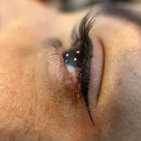 خدمات ارایش دائم میکرو ابرو و شیدلب|خدمات آرایشگری و زیبایی|قروه, |دیوار