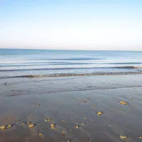 فیش حج عمره