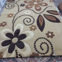 فریز فروشی تخفیفی همراه بادوپادری