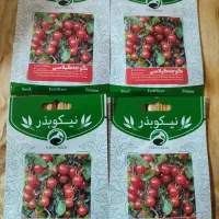 بذر سبزیجات‌، صیفی جات و گل