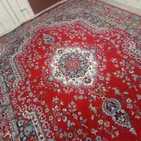 فرش|فرش|دامغان, |دیوار