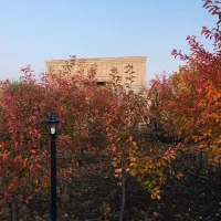 بهترین-فرصت-خرید-ویلا500متری-سهیلیه