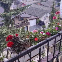 اجاره آپارتمان ۸۰ متری طبقه پنجم مرکز شهر|اجارهٔ آپارتمان|نوشهر, |دیوار