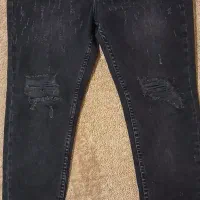 جین طوسی زاپدار