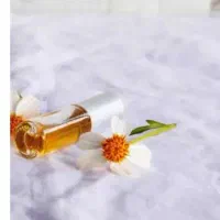 استخدام نیروی خانوم واقا