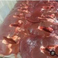 جگر گوساله