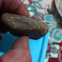 سبزی خردکن،اجاق گاز