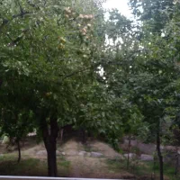 باغ-ویلا-سندداردرفشند