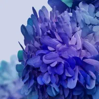 گوشی سامسونگ s20fe5j