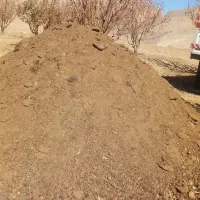 فروش کود حیوانی(بز)