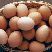 تخم مرغ محلی ومرغ محلی ازنژادگلپایگان