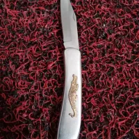 چاقو فروشی|کلکسیون اشیاء عتیقه|ابهر, |دیوار