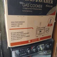 دو عدد گاز طرح فر