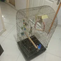 قفس بزرگ طوطی