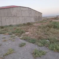 زمین-فروشی