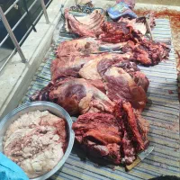 سلاخی بز و گوسفند(سیار)