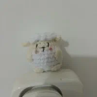 جاسوییچی ،جلو آینه بره