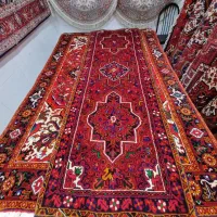 کناره اصیل اعلا|فرش|مراغه, |دیوار