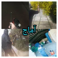 سمپاشی منازل سم پاشی تضمینی موش ساس سوسک باغچه|خدمات نظافت|اندیشه, اندیشه فاز ۱|دیوار
