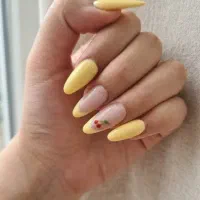ناخنکار مهرآباد جنوبی