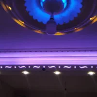 گچکار استا محمد|خدمات پیشه و مهارت|مرودشت, نقش رستم|دیوار