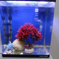 اکواریوم آکوا با تجهیزات