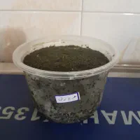 محصولات خانگی سبزی پیاز|خوردنی و آشامیدنی|کوچصفهان, |دیوار