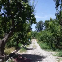 400-متر-باغ-در-کردزار