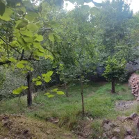 زمین-در-جاده-چالوس-نزدیک-اتوبان-تهران-شمال