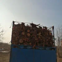 خرید انواع چوب|خدمات باغبانی و درختکاری|ارومیه, |دیوار