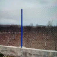 فنس کشی ساعدی