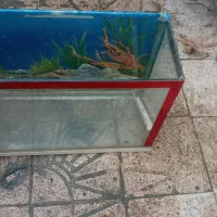 شیشه آکواریوم ماهی