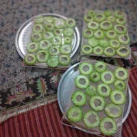 میوه خشک کن گازی برقی