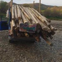 خرید و فروش و برش انواع چوب تر  و خشک|خدمات باغبانی و درختکاری|بوکان, |دیوار