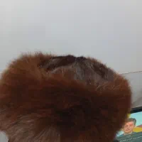 کلاه پوست|لباس|محمدشهر, محمدشهر|دیوار