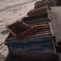کندو زنبور .کندو خالی