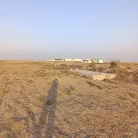 زمین کشاورزی سه راهی قره ما خر|فروش دفتر صنعتی، کشاورزی، تجاری|گنبد کاووس, |دیوار