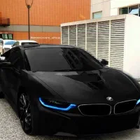 راننده میشم